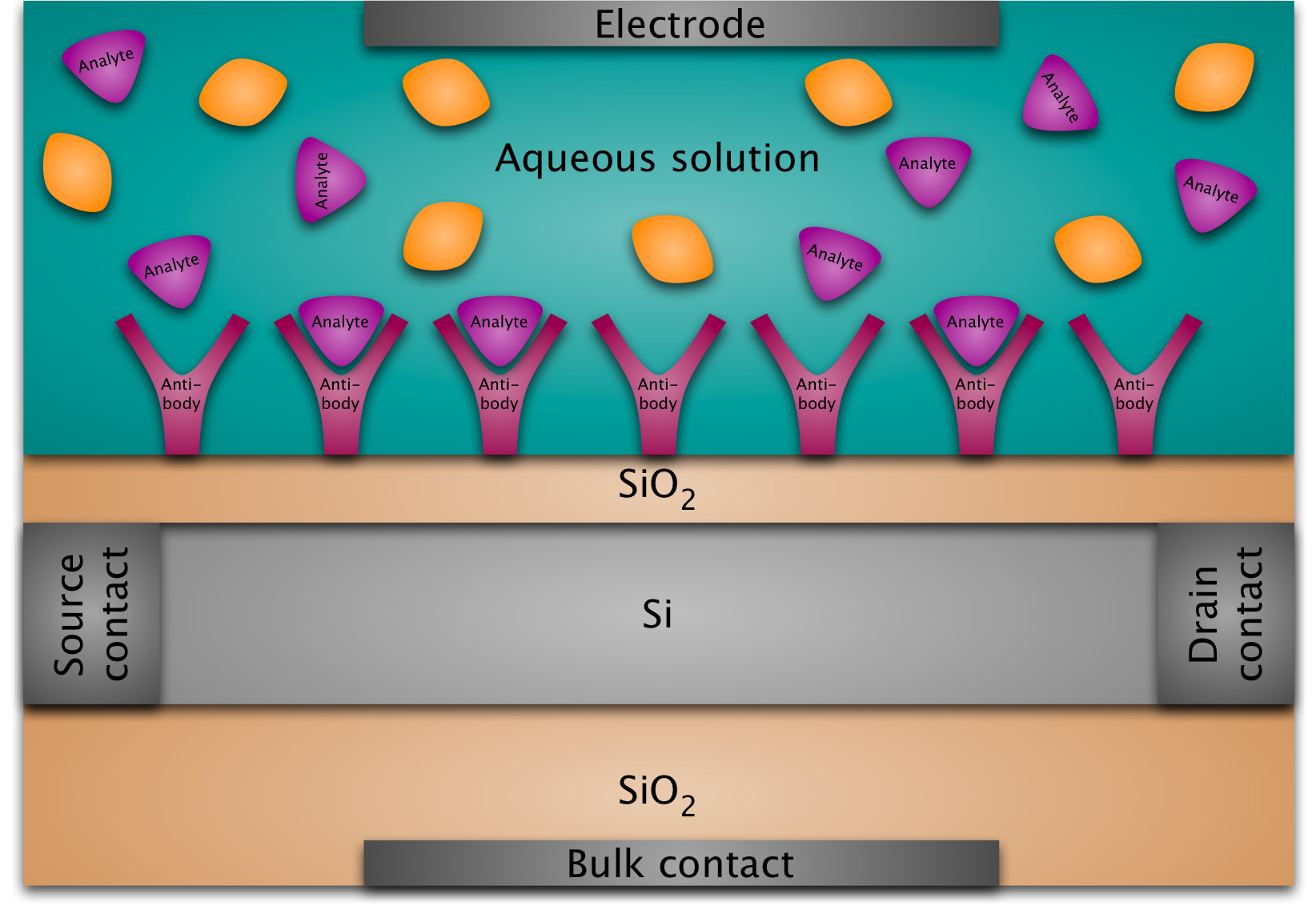 BioFED device structure