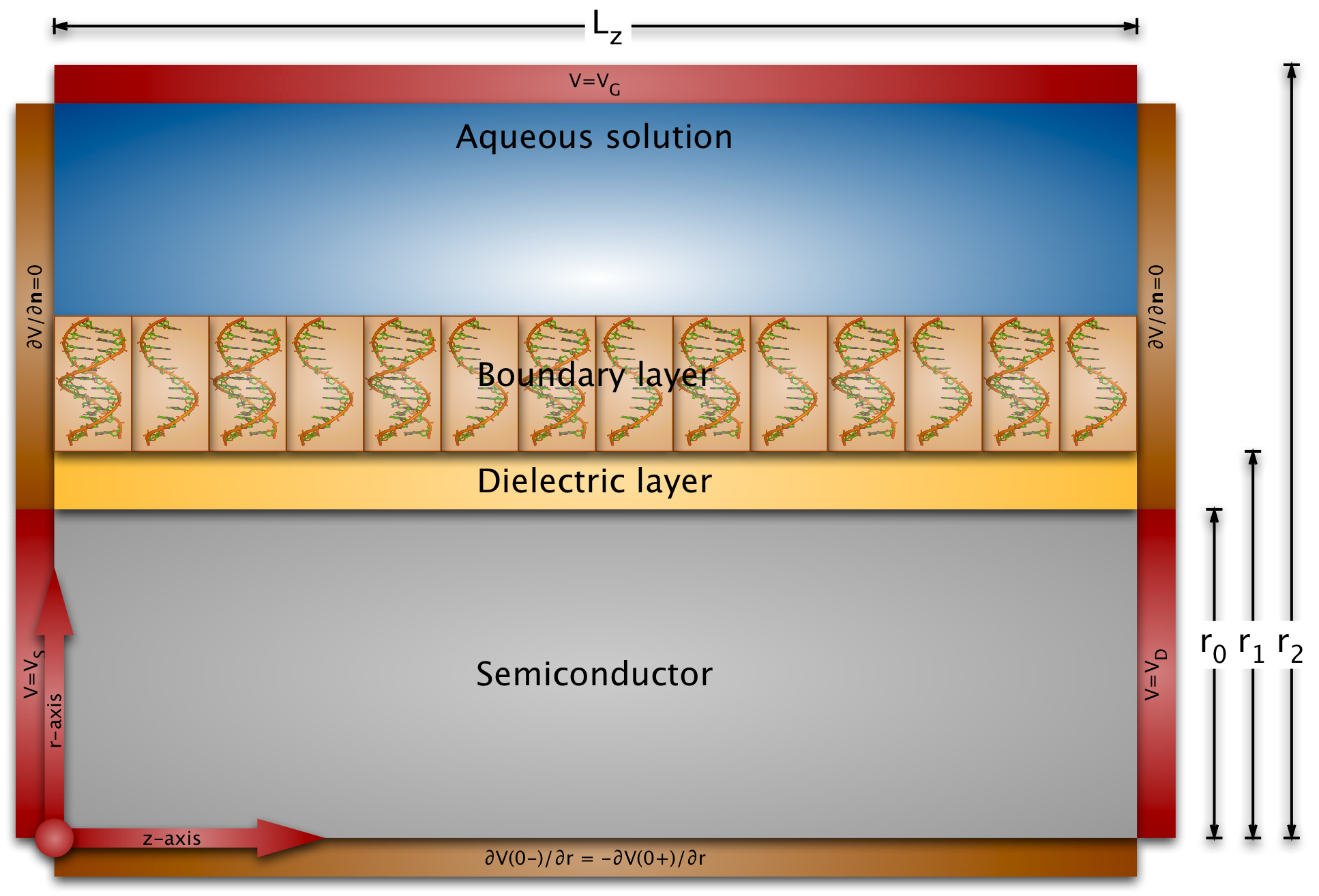 Simulation domain